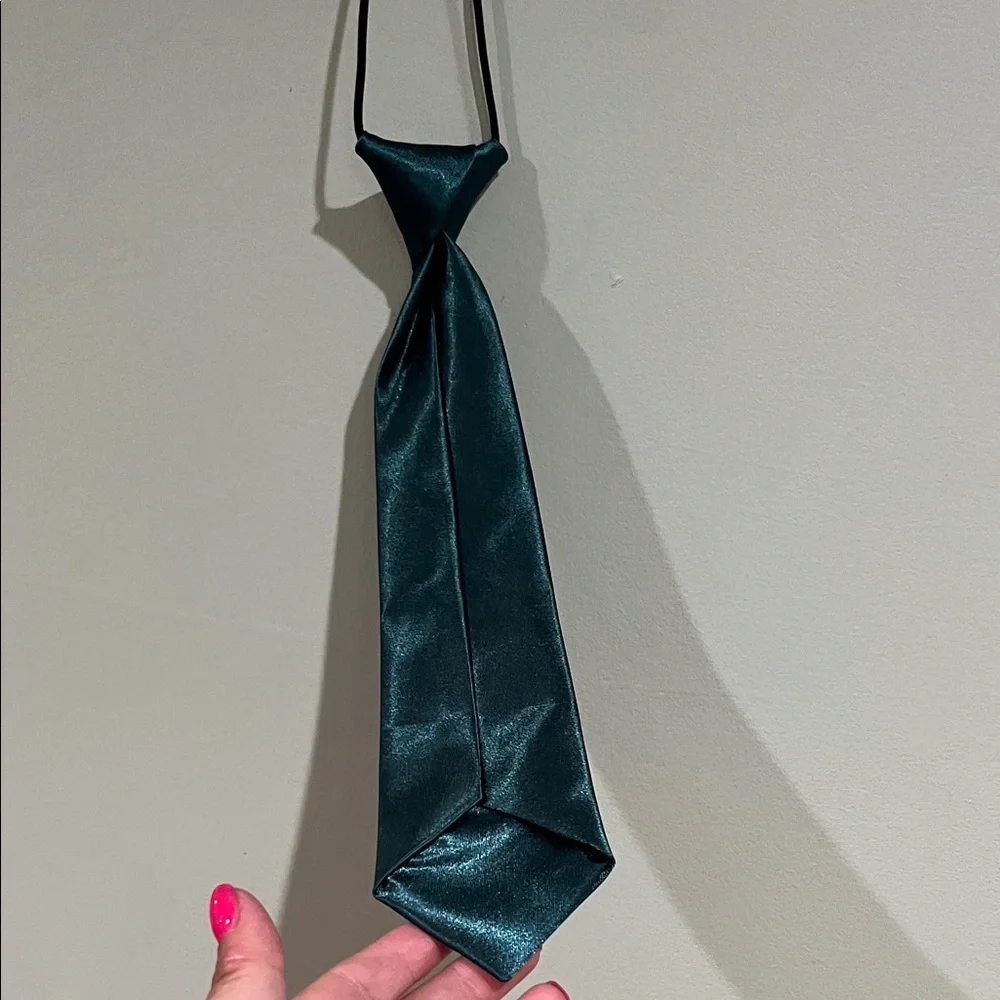 6/$25Stylish Teal and Multicolor Dogs ties Bag NWOT